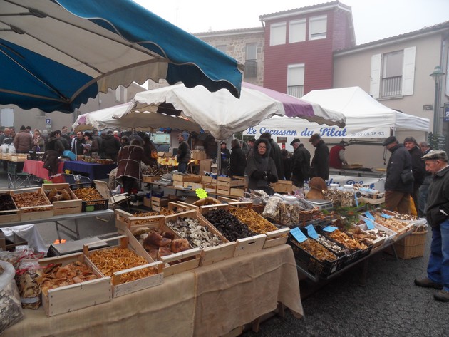 À Saint-Bonnet-le-Froid, ils se sont lancés dans la culture de champignons  - Saint-Bonnet-le-Froid (43290)